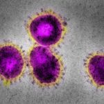 New Coronavirus May Be Cause of Viral Pneumonia Outbreak in China